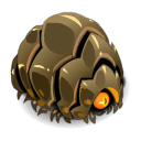 Portrait de Cycloporth