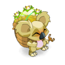 Portrait de Koalak Coco