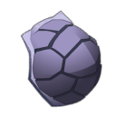 Carapace du Maître Torte Hou