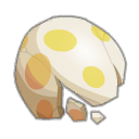 Coquille de Dragoss Argile