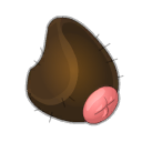 Croupion de Tofuzmo