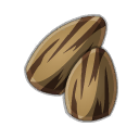 Graine de Ricin