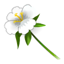 Muguet Ridon