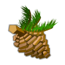 Pomme de pik